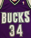 Ray Allen Milwaukee Bucks Mitchell & Ness NBA Authentic Jersey 2000-2001 Purple