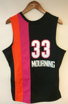 Alonzo Mourning Miami Heat Mitchell & Ness NBA Authentic 2005 Jersey Floridians