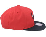 Chicago Bulls Mitchell & Ness NBA Snapback Hat 2Tone Hardwood Classics Cap